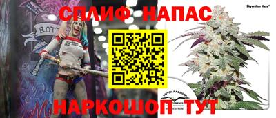 сатива Донской