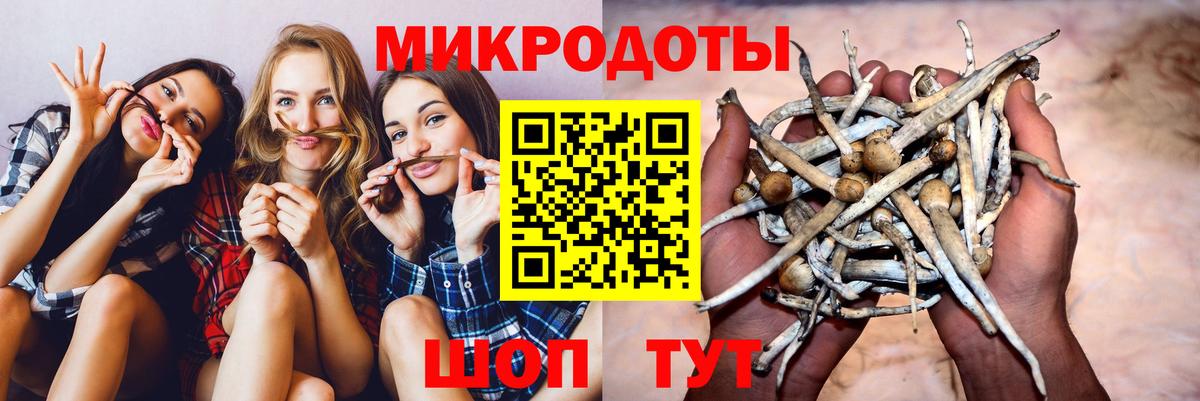 Галлюциногенные грибы Psilocybe Мариинск