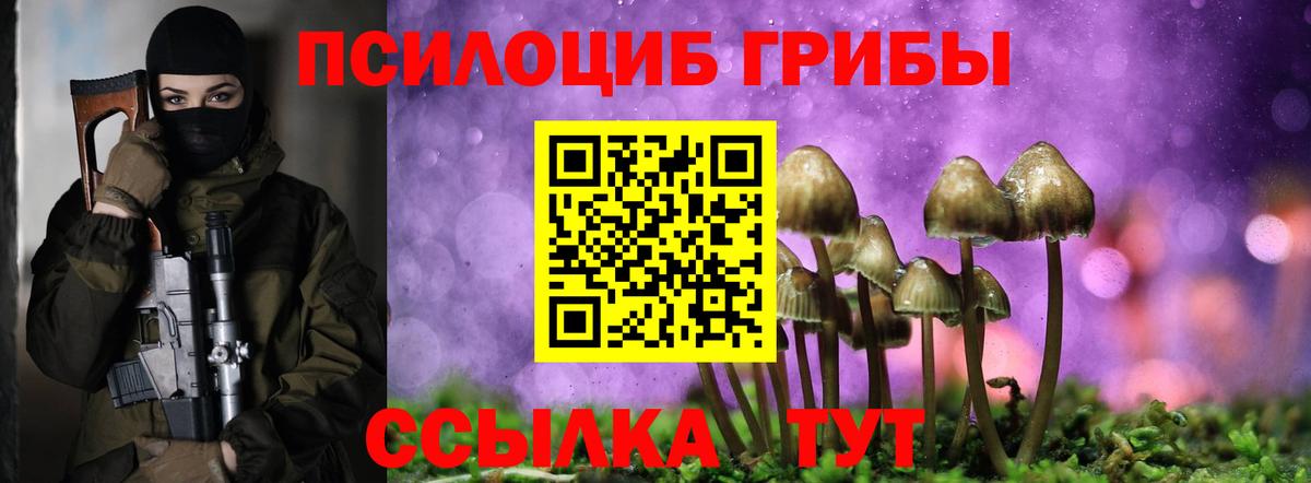 Мариинск  Галлюциногенные грибы MAGIC MUSHROOMS  Вход с VPN  Галлюциногенные грибы Psilocybine cubensis 